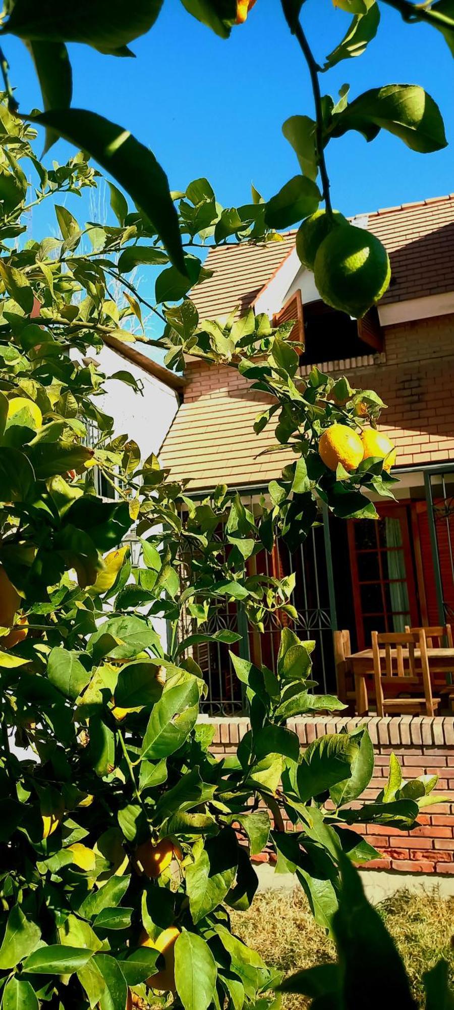 Casa Bravo Bed and Breakfast Mendoza Exteriör bild